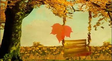 浪漫秋天氛围树叶飘散坠落意境背景视频素材的预览图
